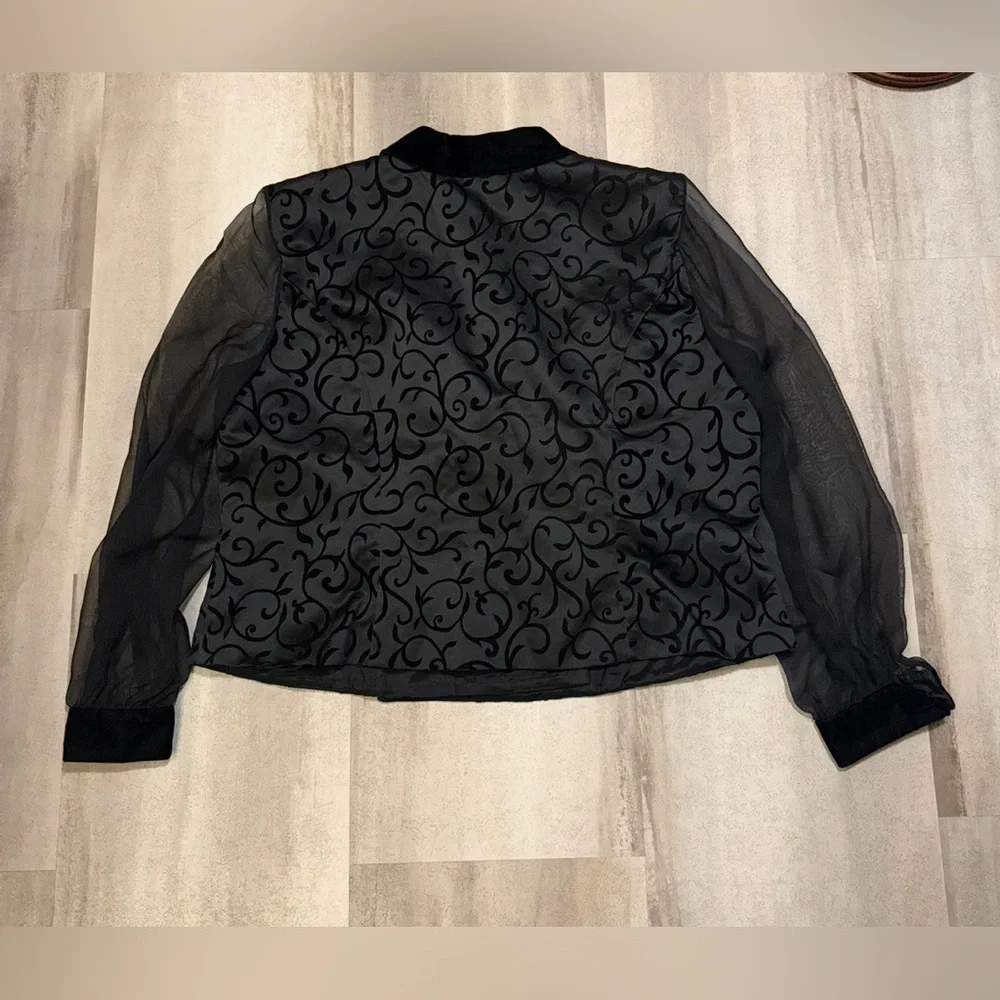 Elegant Black Sheer Sleeve Blazer of velvets